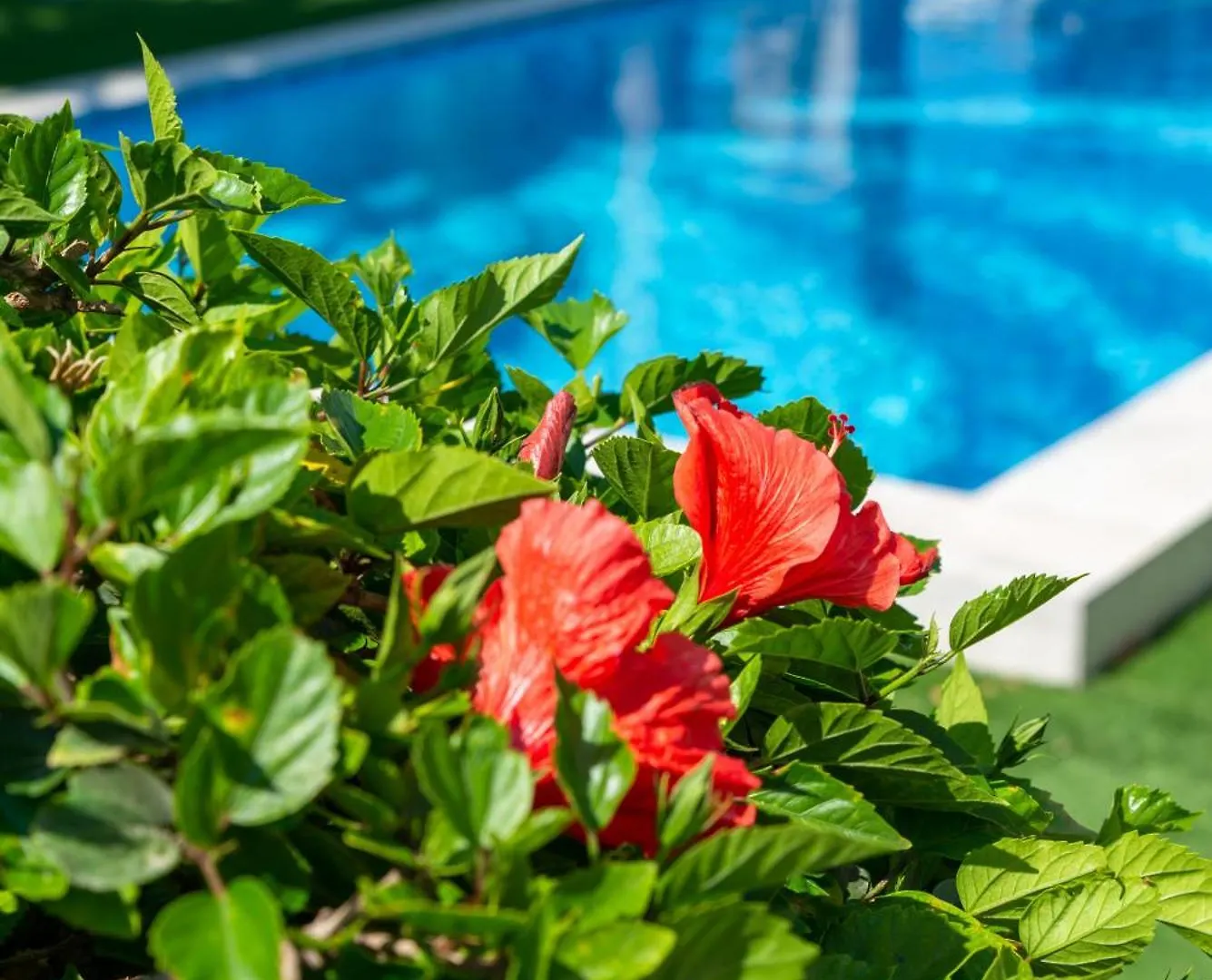 Tropical Villa Ayia Napa